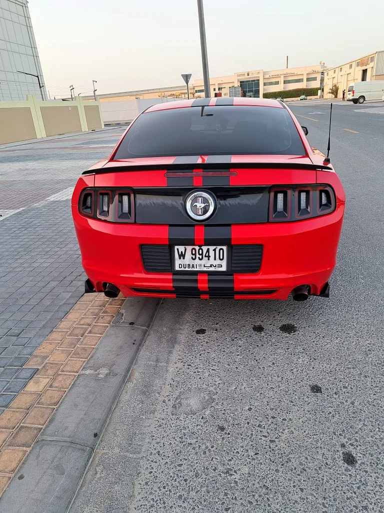 Mustang Car For Sale63612081666179114