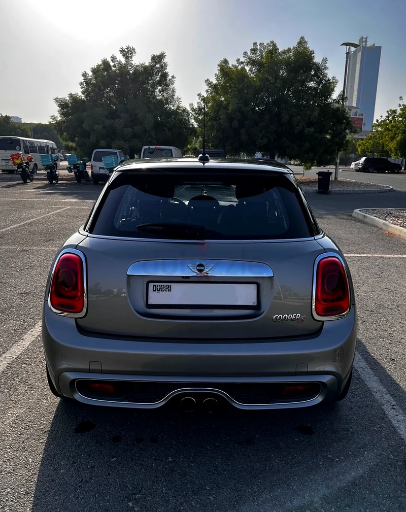 Mini Cooper S (2L Turbo)63613466551939111