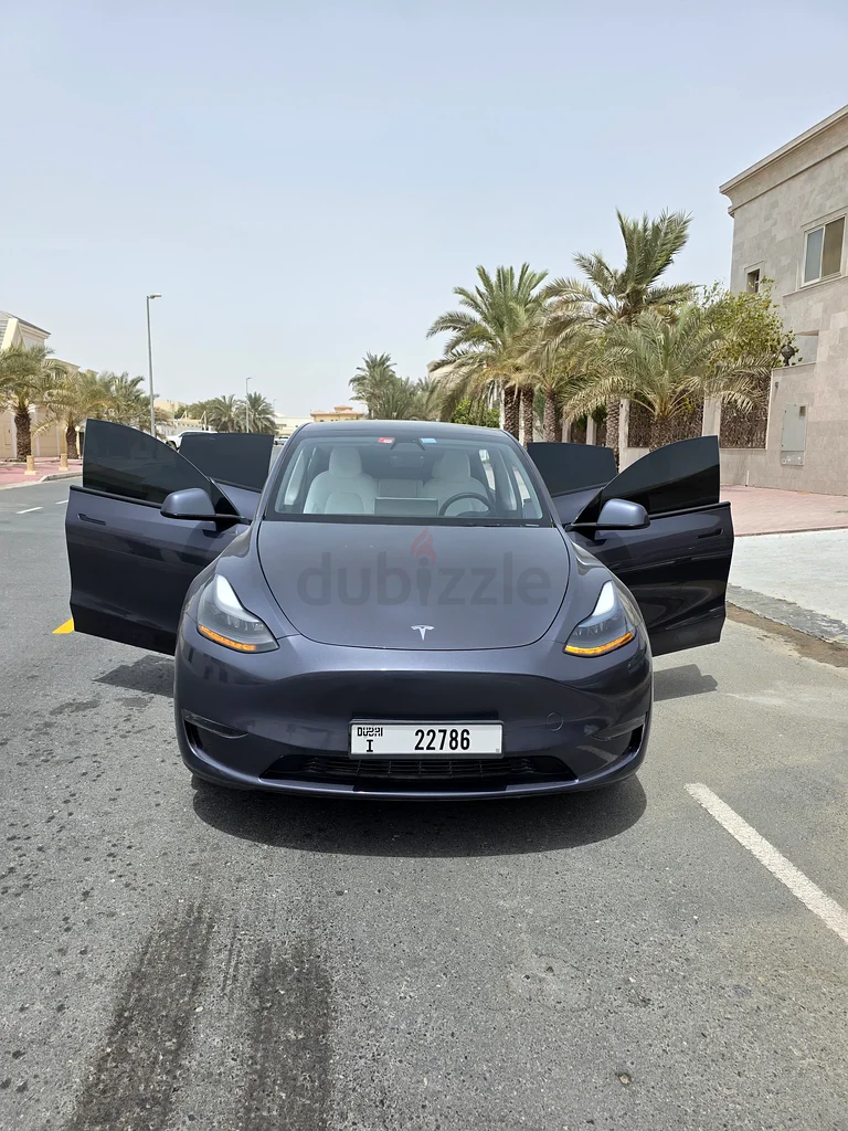 Tesla Model Y 202363613467237249113