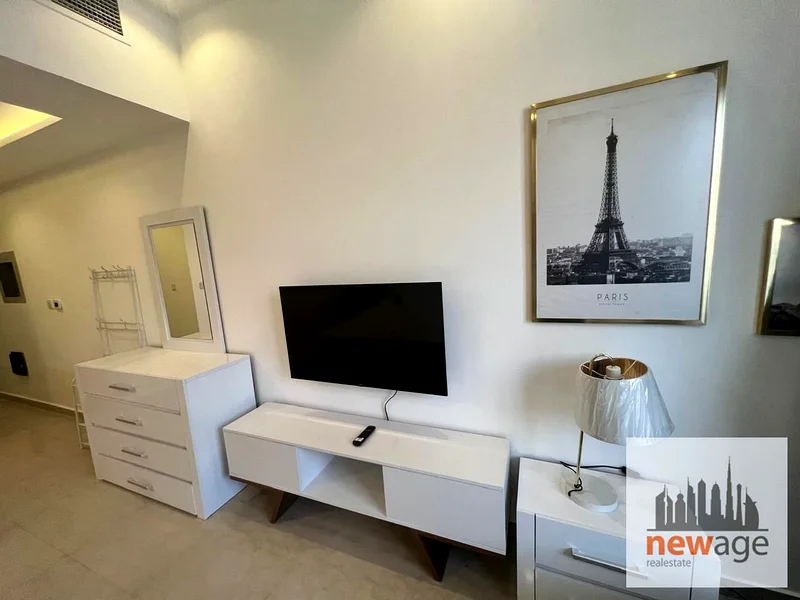 Spacious FURNISHED STUDIO Apartment IN HANOVER SQUARE JVC63778351044355111