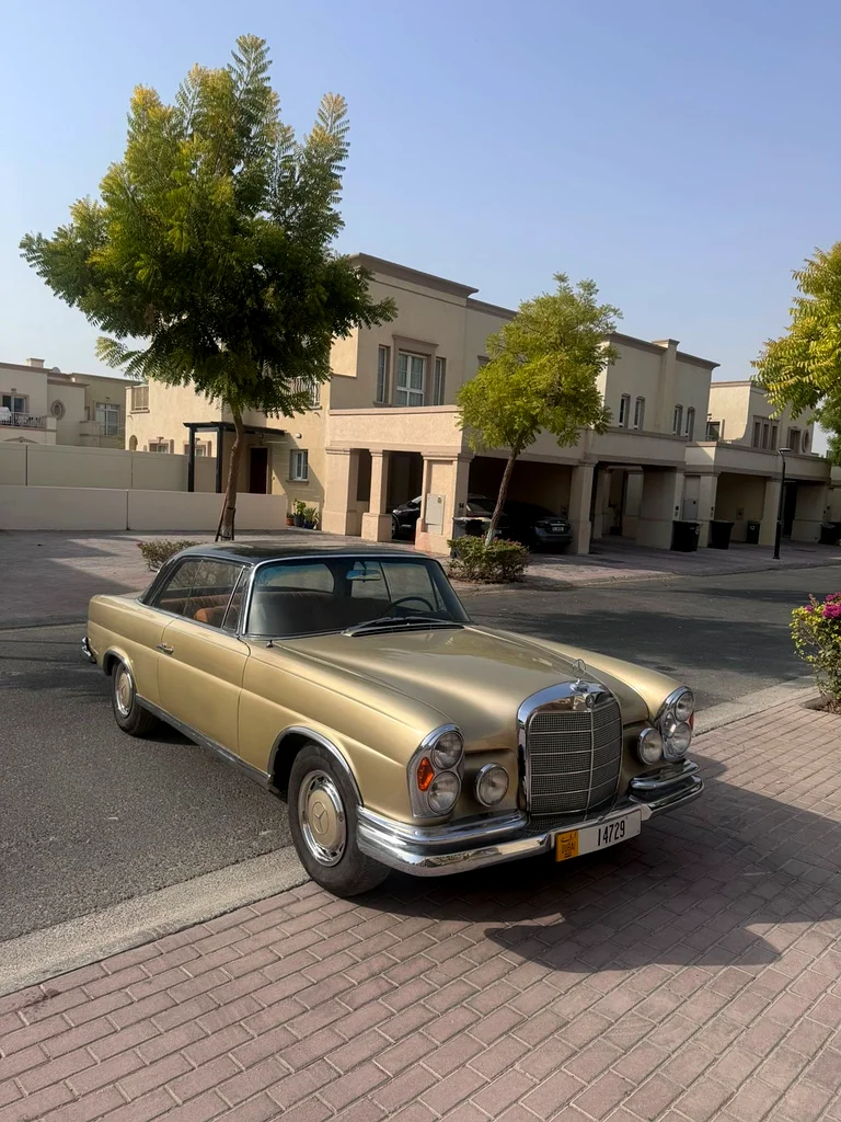 Mercedes W111 220SE, GCC, Collector Condition63613134672769112