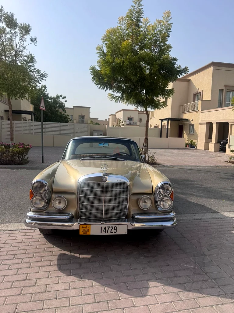 Mercedes W111 220SE, GCC, Collector Condition63613134672769111