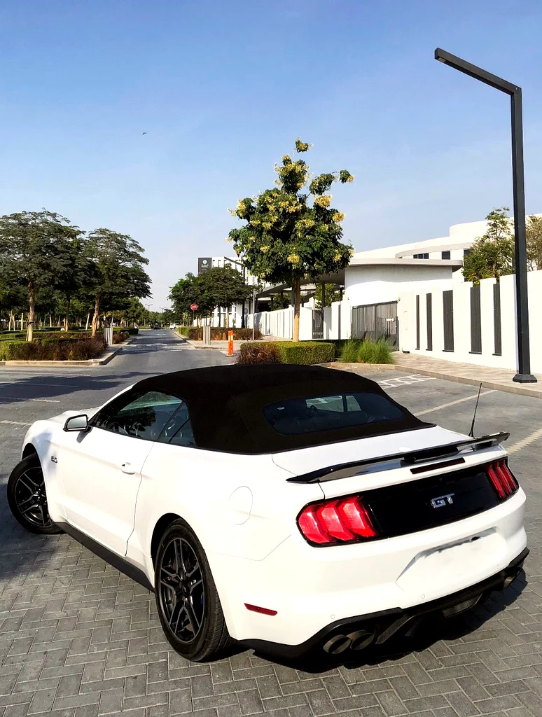 Ford Mustang GT 5.0 convertible 2019 - Clean Title63612081856642113
