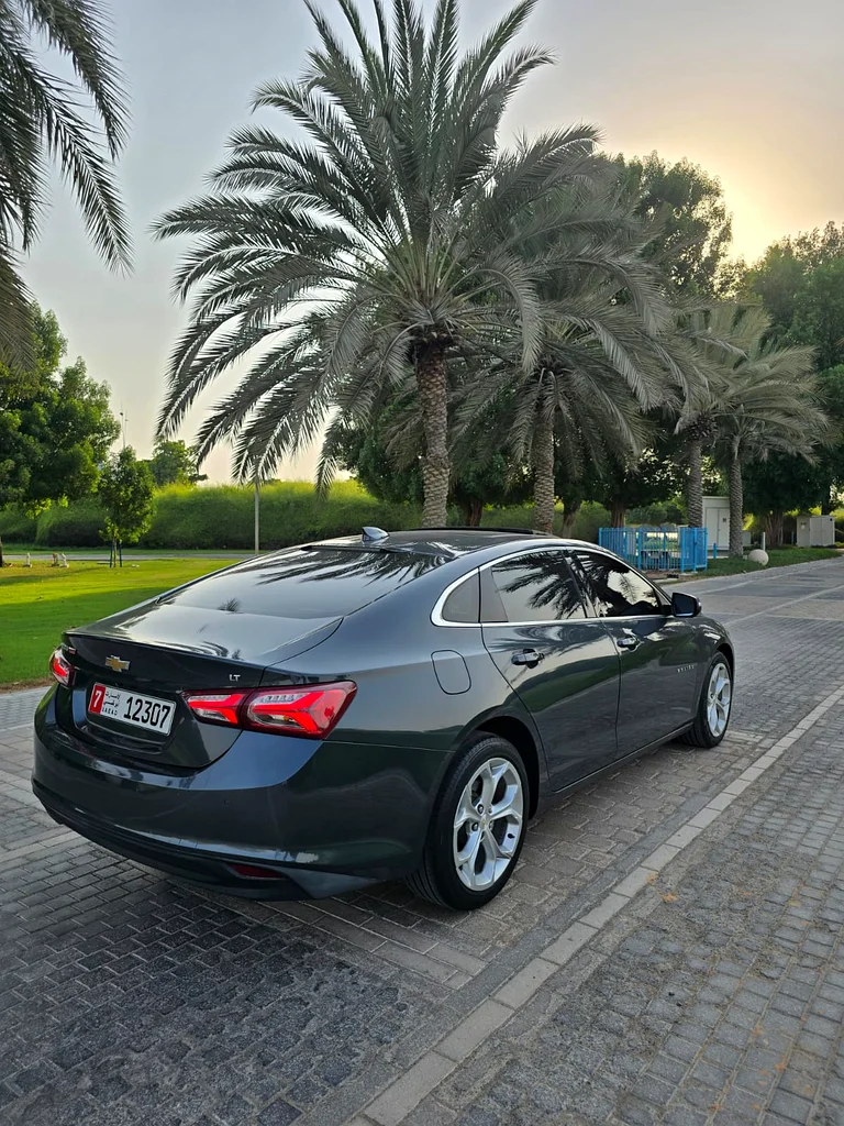 Gulf Malibu, highest specifications63612066707203112