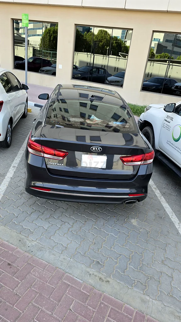 عجمان الراشديه 163612078727171114
