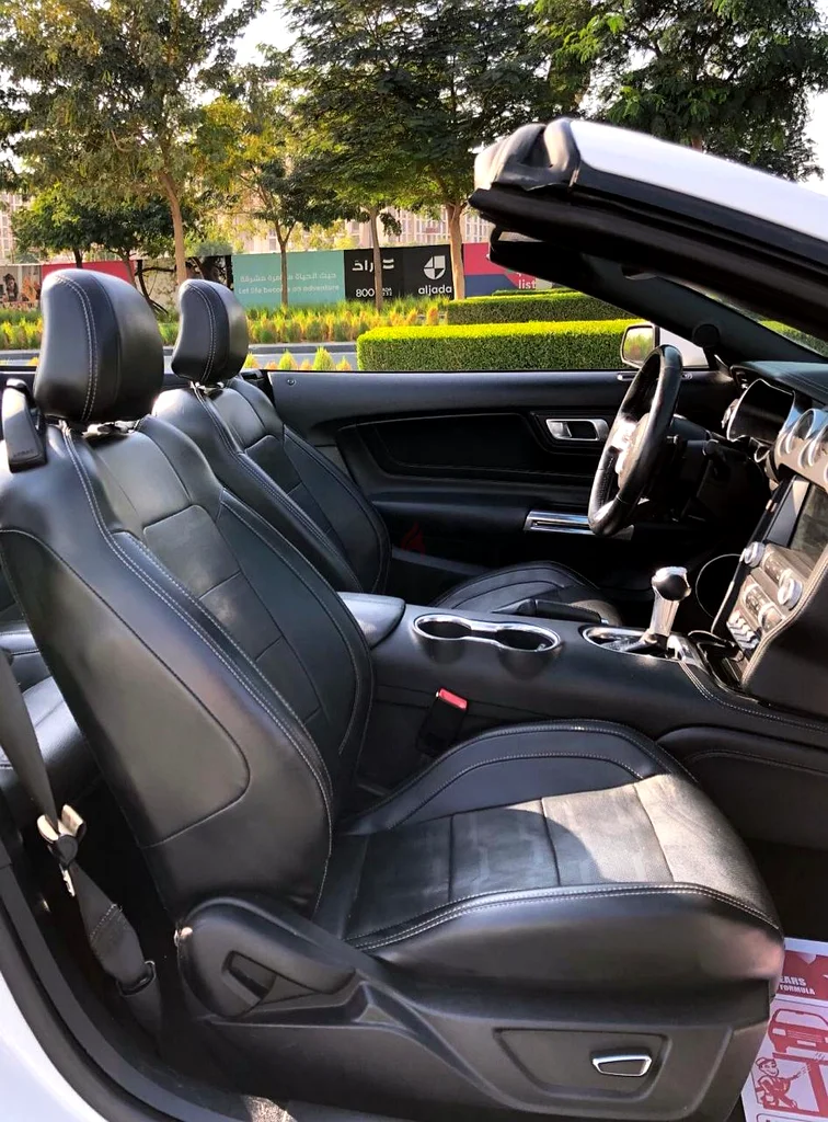 Ford Mustang GT 5.0 convertible 2019 - Clean Title63612081856642114