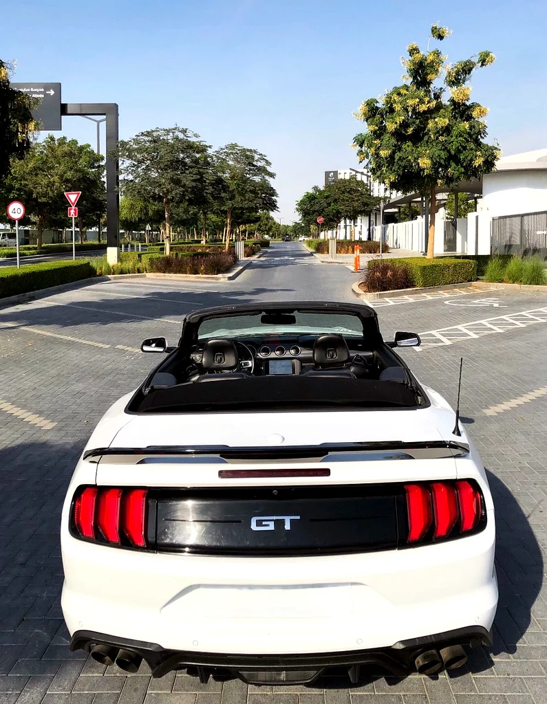 Ford Mustang GT 5.0 convertible 2019 - Clean Title636120818566421129