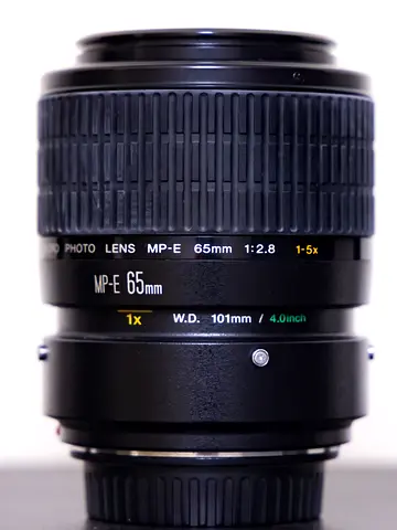 Canon MP-E 65mm f2.8 1–5x Macro Lens