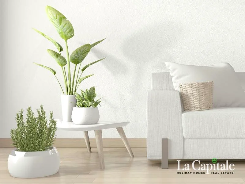 بائع متحمس | طابق عالي | جاهز قريبًا64043996830339114