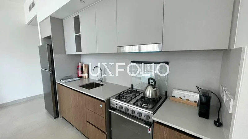 Burj view | Low floor | brand new63761333125250114