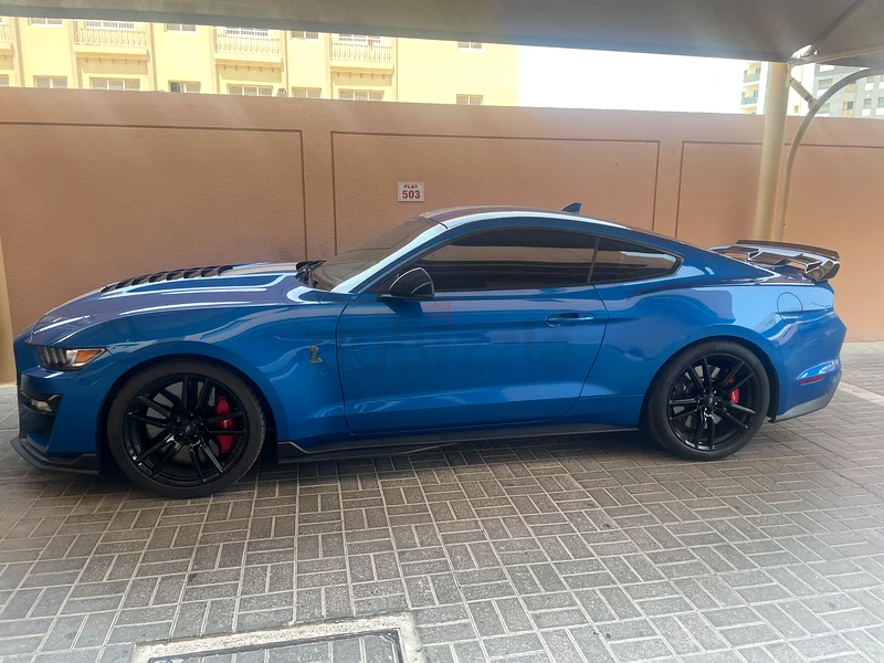 FORD SHELBY 500 GT63612082073603111