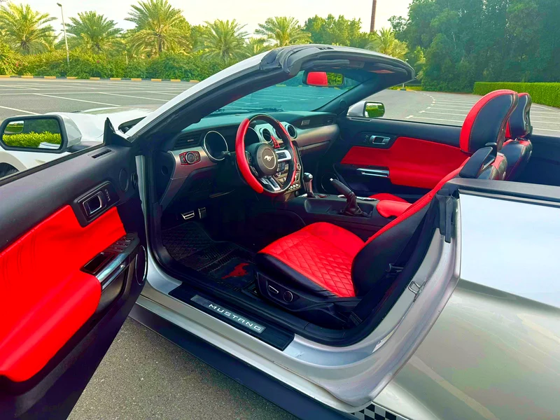 Ford Mustang 2019 Convertible63612081889666113
