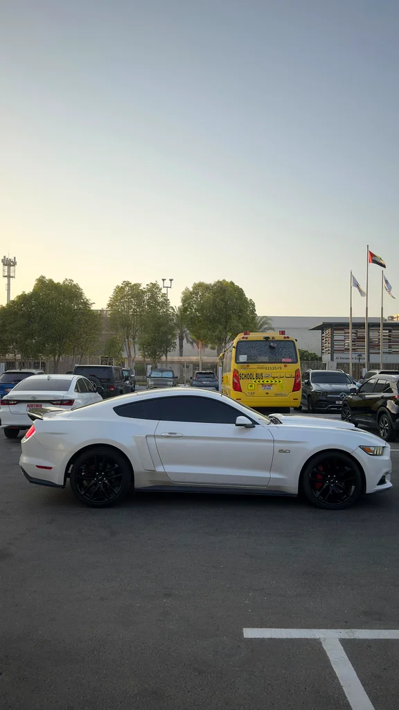 2017 Mustang GT63612081975553111