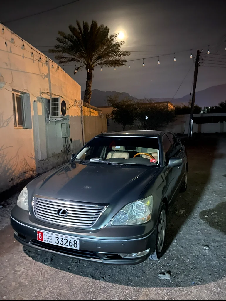 العين63612073041793113