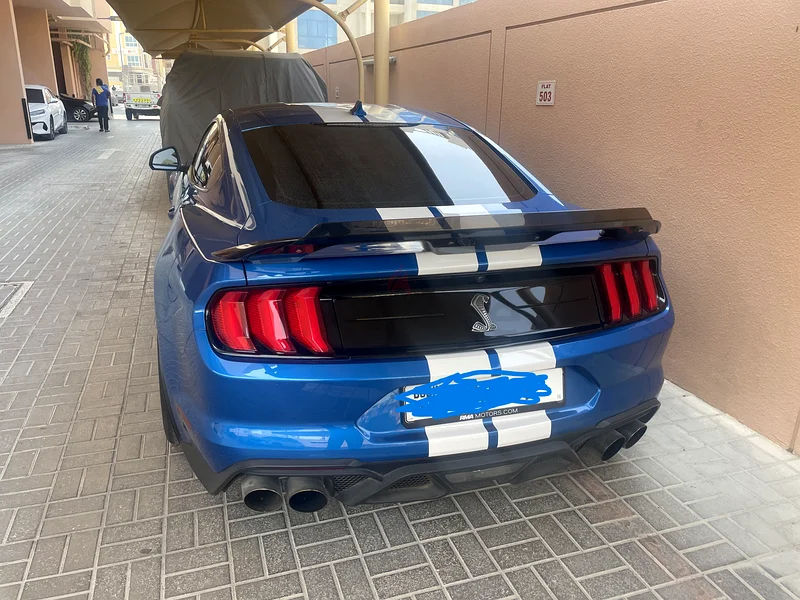 FORD SHELBY 500 GT63612082073603113