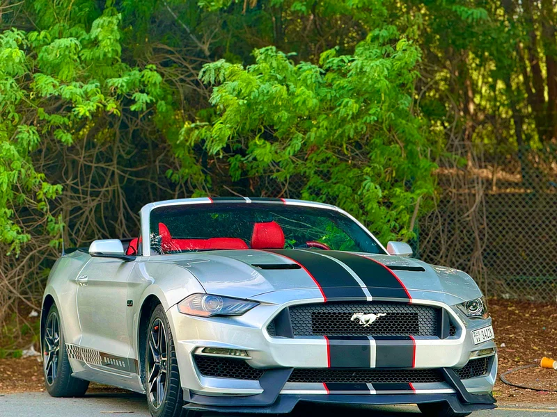 Ford Mustang 2019 Convertible63612081889666111