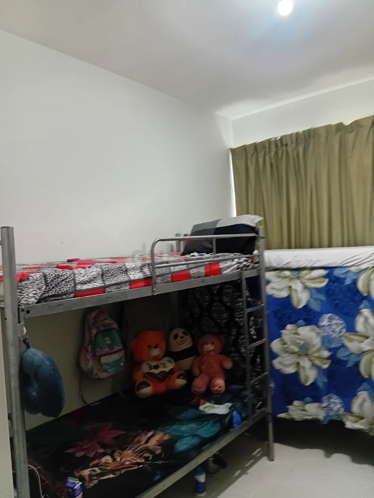 Ladies bed space in DIP-163796791861377113