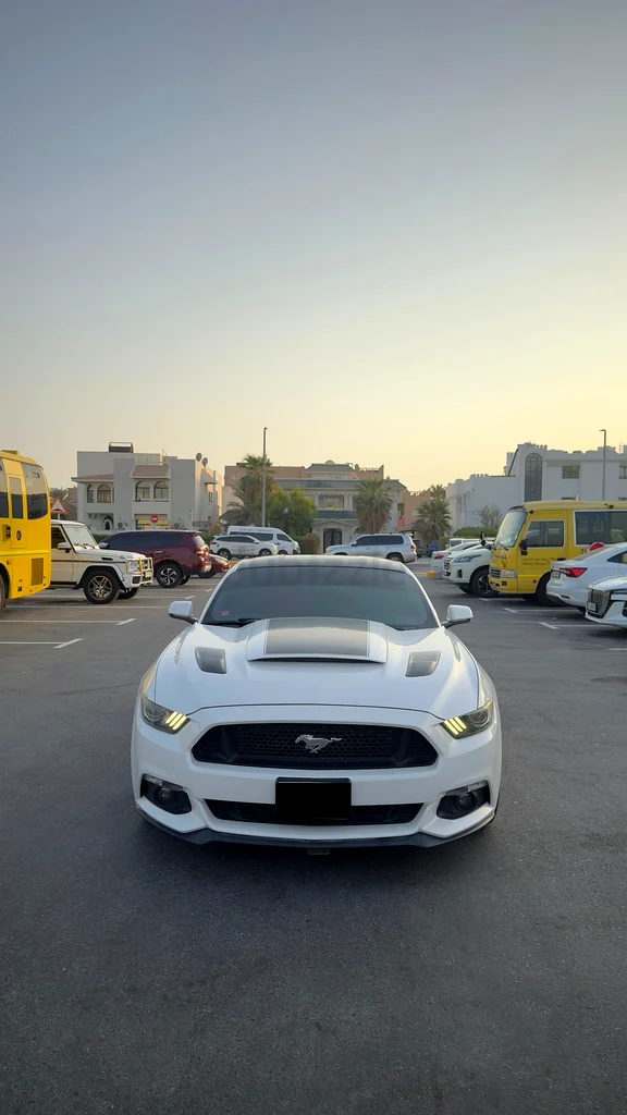 2017 Mustang GT63612081975553113