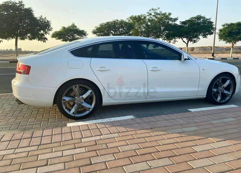 الشرقة /عجمان63612080139266114