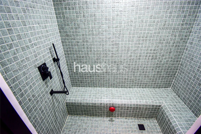 شاغرة | تم تجديدها بالكامل | صفقة ممتازة في جي بي آر63936596340225114