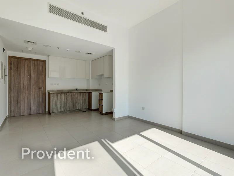 Open Park View | Special Amenities | Tenanted63950735351554112