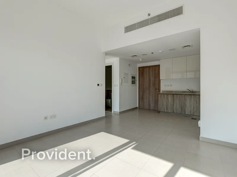 Open Park View | Special Amenities | Tenanted63950735351554113
