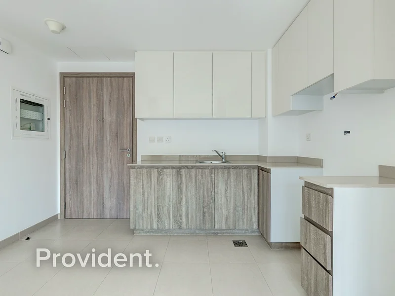 Open Park View | Special Amenities | Tenanted63950735351554114