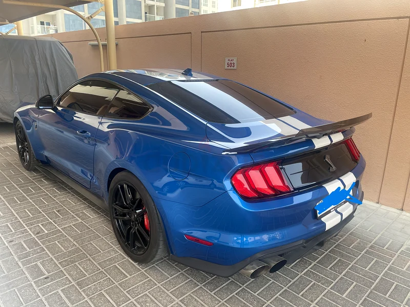 FORD SHELBY 500 GT63612082073603112