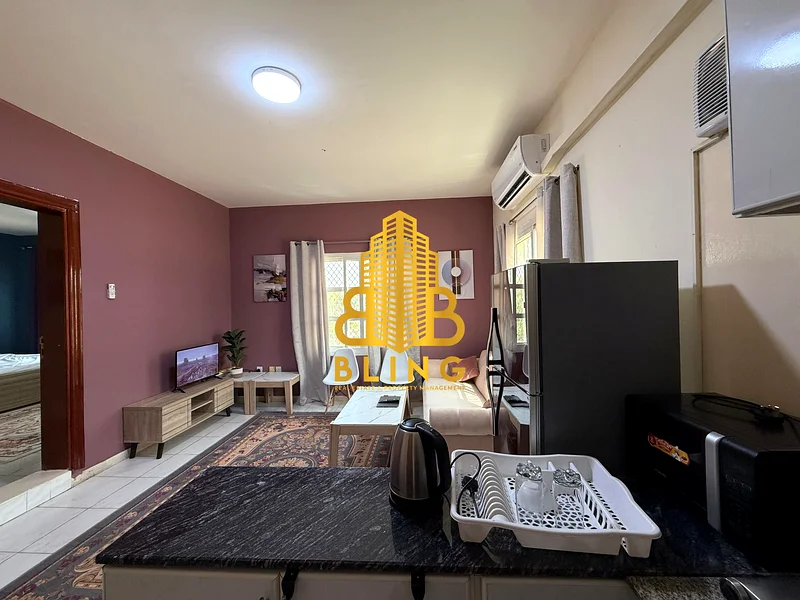FULLY FURNISHED!! 1 Bedroom Apartment With Water & Electricity Included63625224275457111