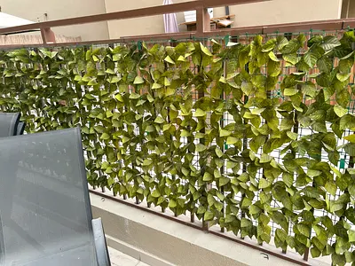 Lush Green Privacy Leaf Wall for Your Outdoor Space