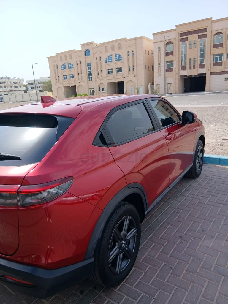 الشارقة63699032220546114