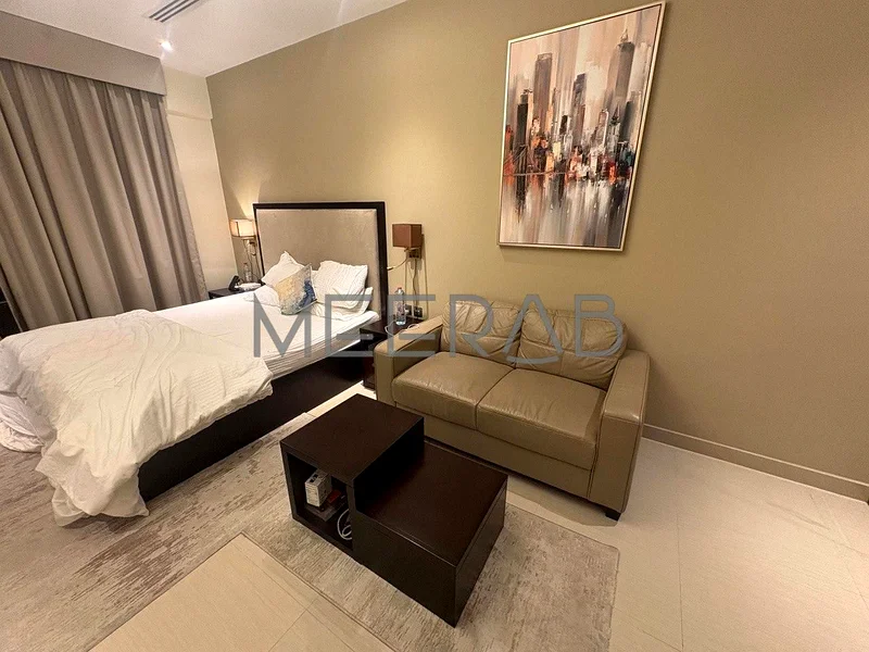 Spacious Fully Furnished Studio | Lake View | With Balcony | High Floor63770824588418114