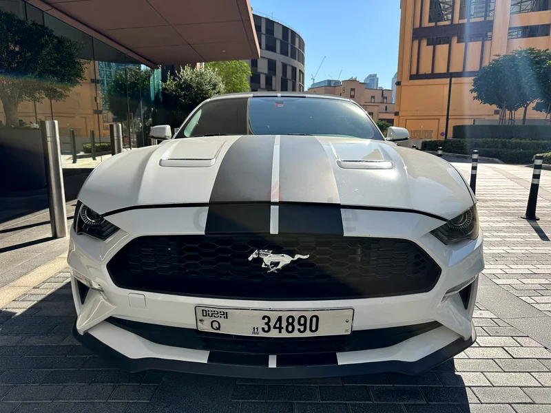 2019 Ford Mustang Ecoboost Convertible 2.3L63699041816707110
