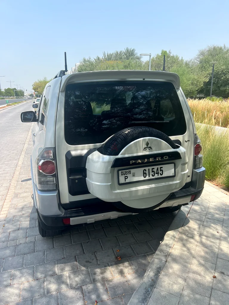 SUV موثوقة ومتينة بقيادة سيدة63613736551041112