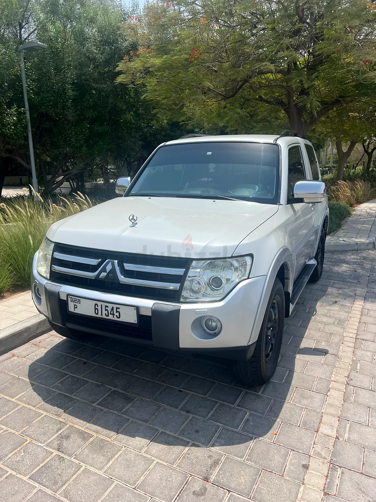 SUV موثوقة ومتينة بقيادة سيدة63613736551041113