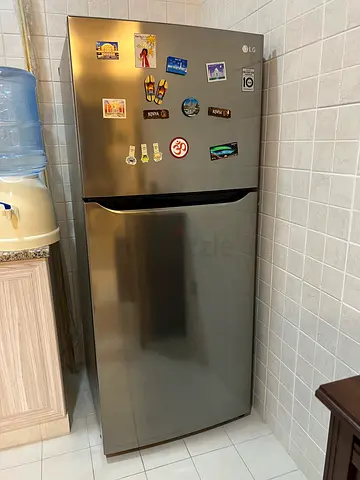 Lg fridge