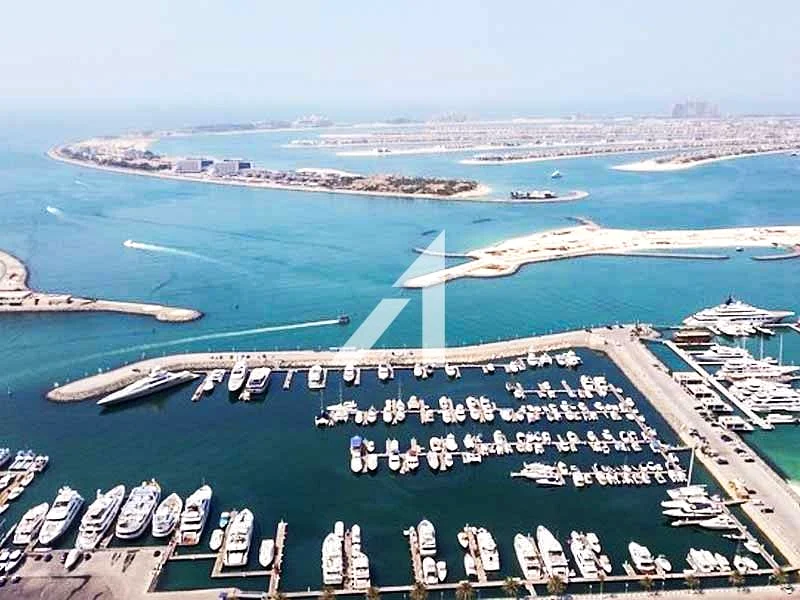 Stunning Palm View | Very High Floor | Vacant63777537896705110