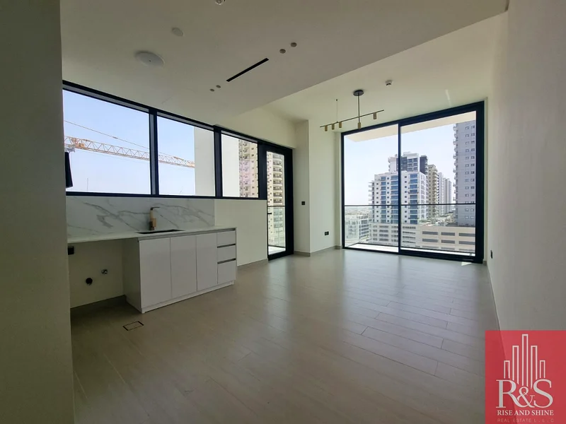 2-3 Cheques | Huge Layout | By Binghatti63787493723009110
