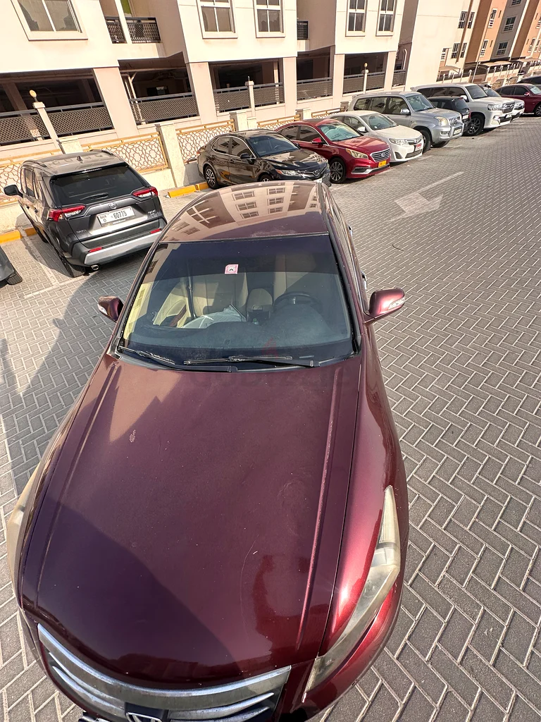 هوندا أكورد في حالة جيدة للبيع63699033084803114