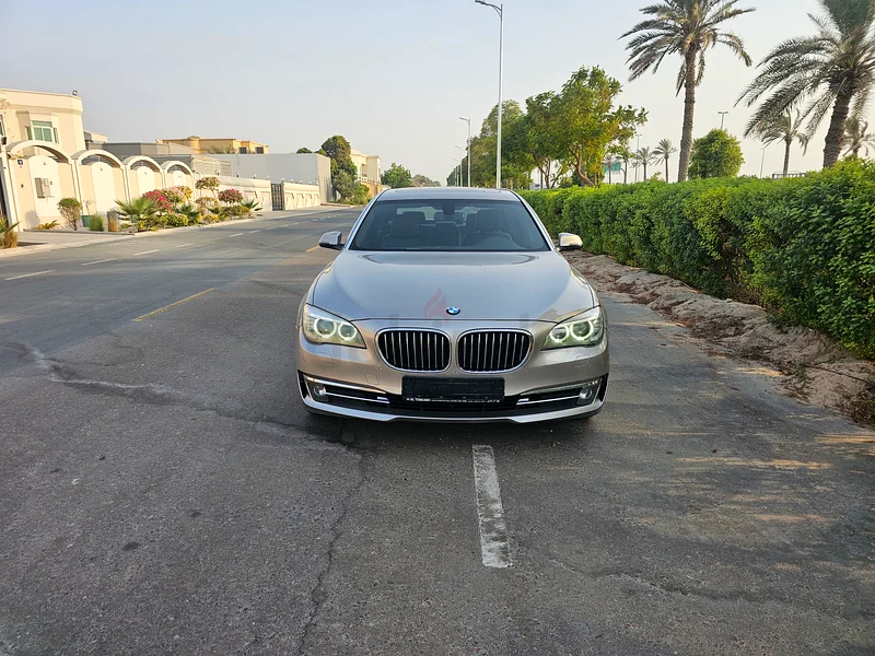 مالك واحد خيارات كاملة طلاء أصلي63699047634306114