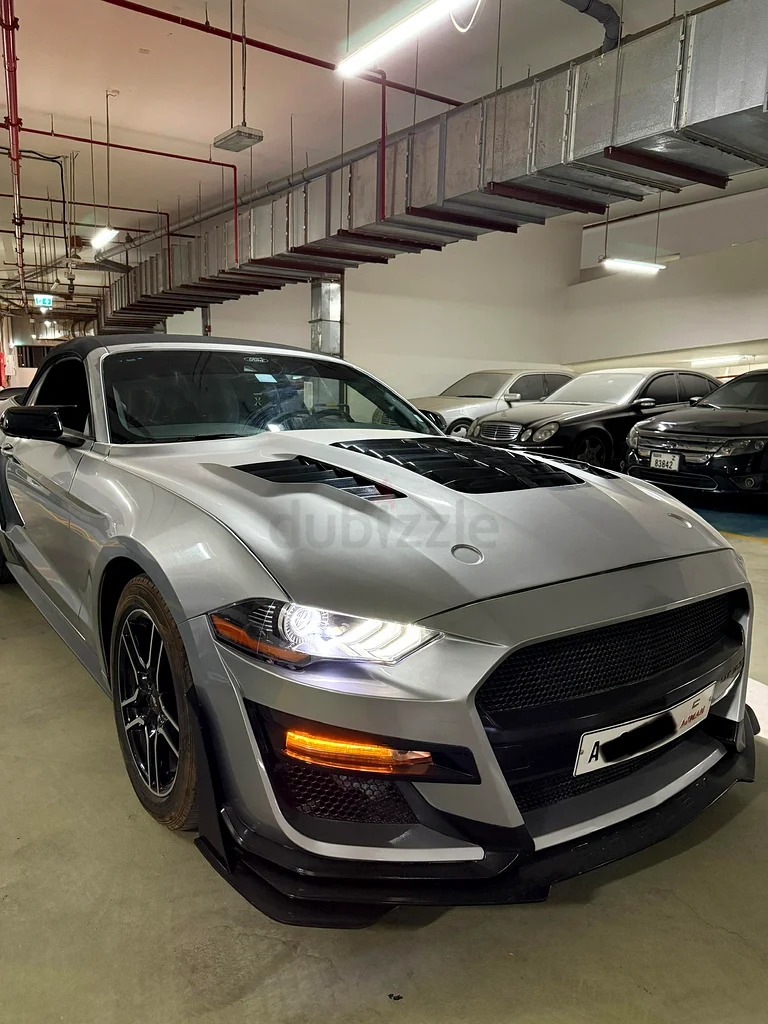 Mustang 202163699041691011110