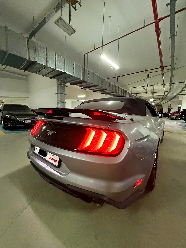 Mustang 202163699041691011112