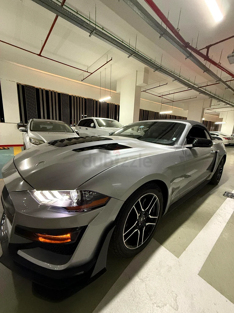Mustang 202163699041691011111