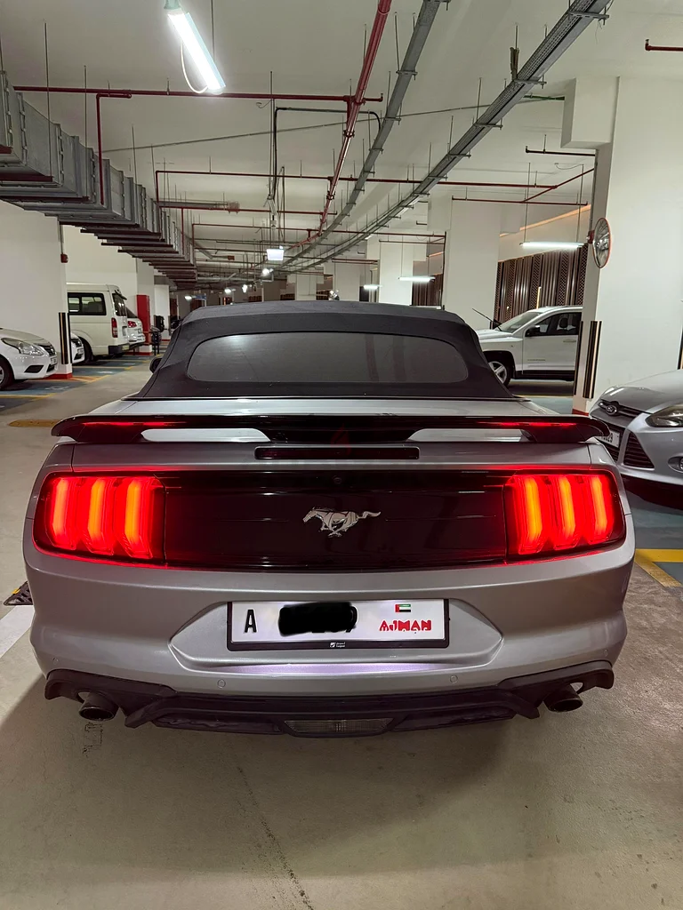 Mustang 202163699041691011113