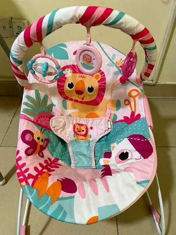 Baby bouncer