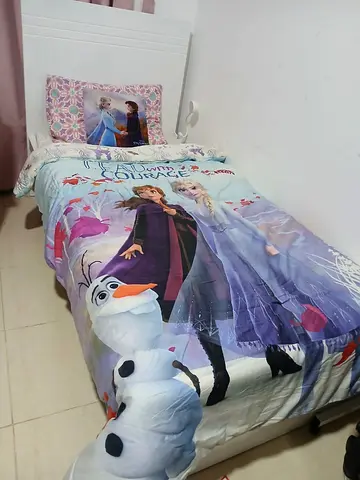 Frozen 2 bedsheet and quilt set with pillow cover and cushion