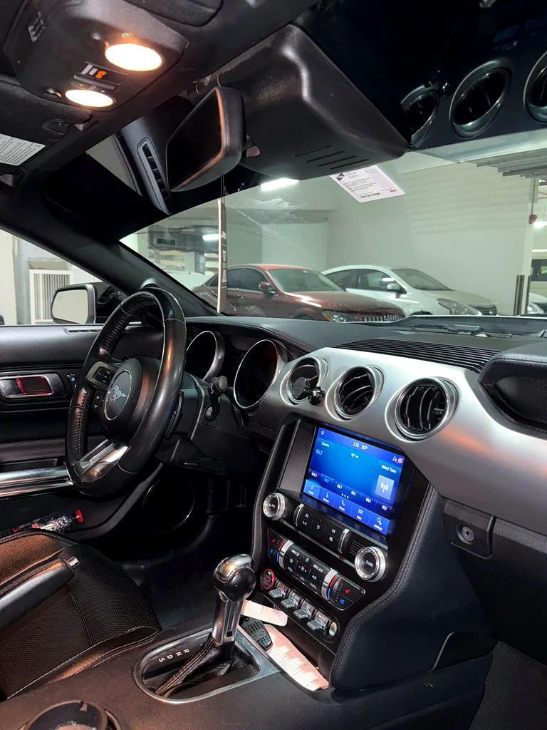 Mustang 202163699041691011114