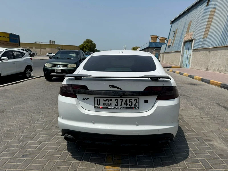 JAGUAR63699026833795113