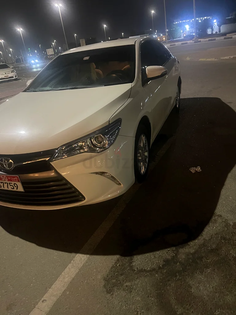 الشامخة63699049662339110