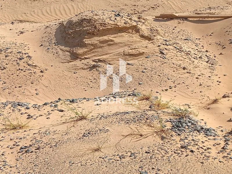 "Hot Deal! Industrial Plot in Al Saja’a at a Special Price per Sq.Ft – Directly on Al Qasimia Street."63820762990594110
